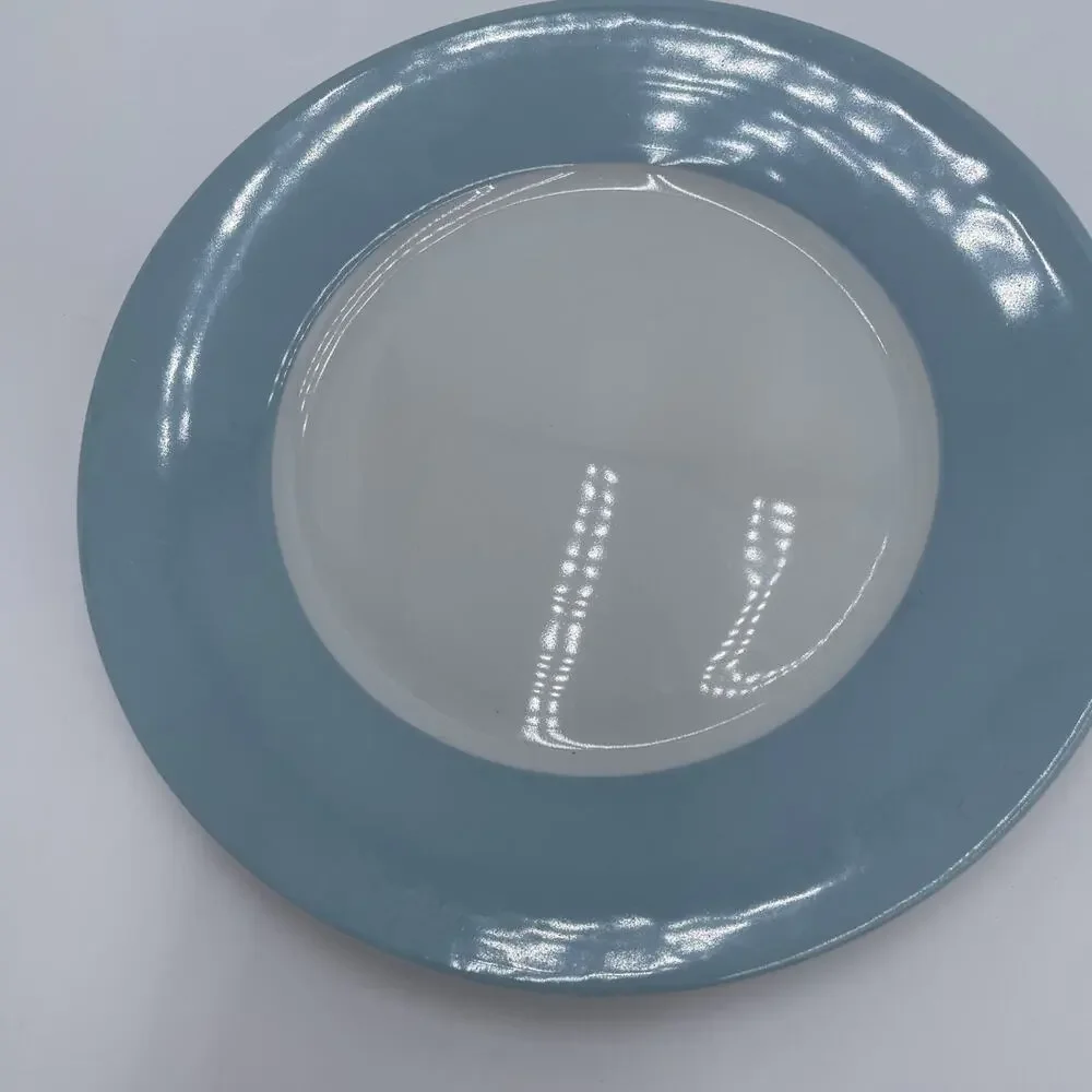IKEA Susan Pyrke 365 Set of 2 White & Blue Rim Stoneware 8.5” Luncheon Plates